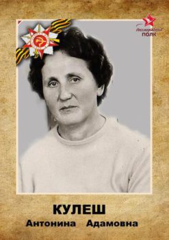 Кулеш А.А.